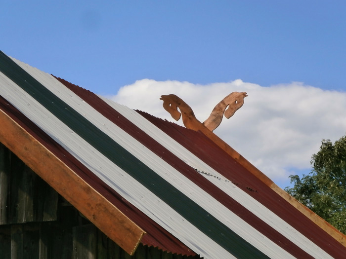 Krāsains pagraba jumts, pagraba jumta renovācijas projekts